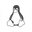 Search Linux Command